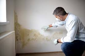 Why You Should Choose Our Mold Remediation Services in Bucyrus, OH